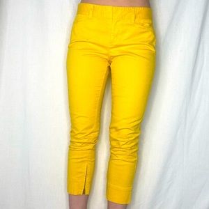 The Loft Cropped Yellow Pants with Bottom Leg Zipper detail - Size 4